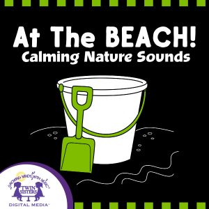 Image representing cover art for At The Beach_