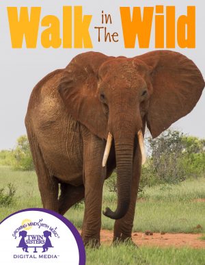 Cover art for Walk In The Wild