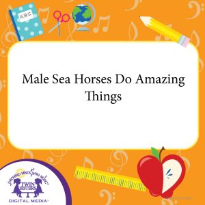 Cover art for Male Sea Horses Do Amazing Things